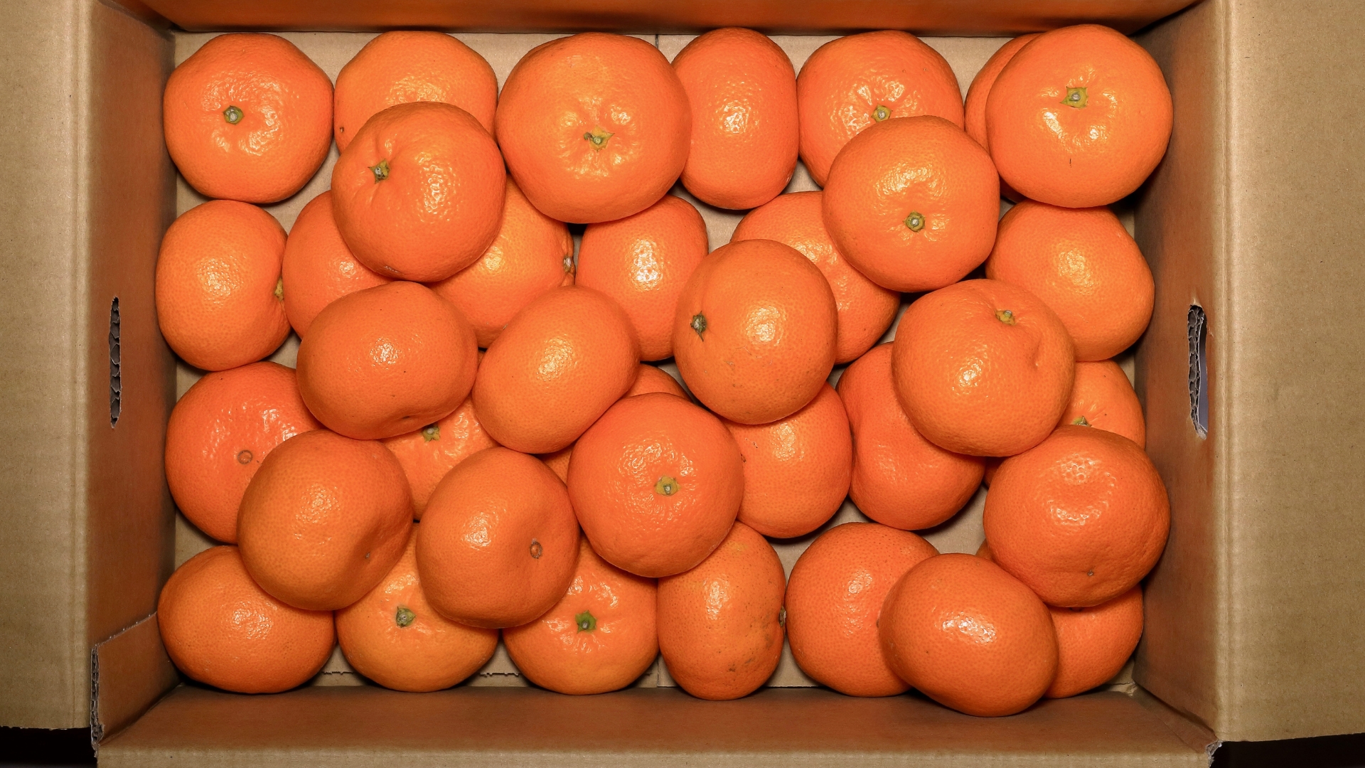 Mandarina de exportación en caja